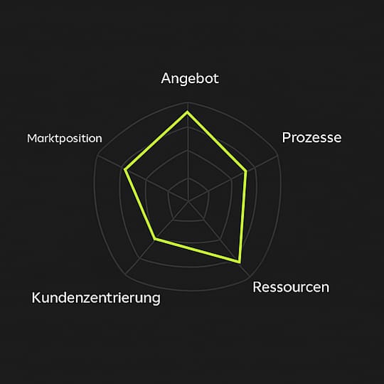 Botgekko Analyse image 2 4